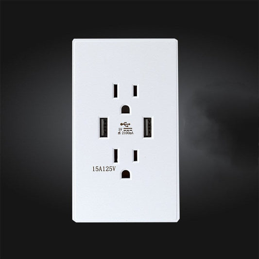 American-style outlet plate featuring USB ports
