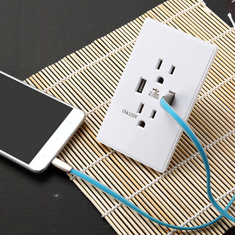 American-style outlet plate featuring USB ports