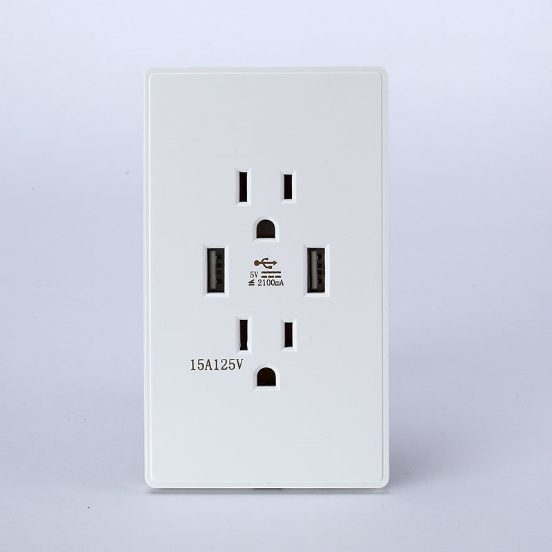 American-style outlet plate featuring USB ports