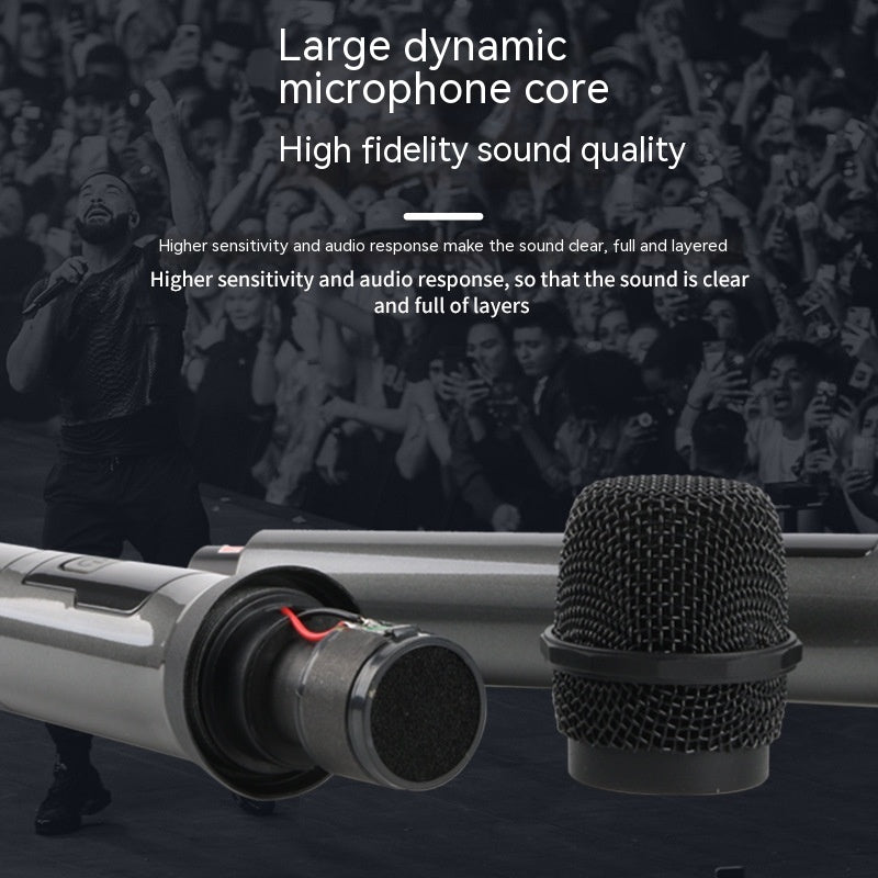 Portable Dual-Coil Wireless Home Mic System