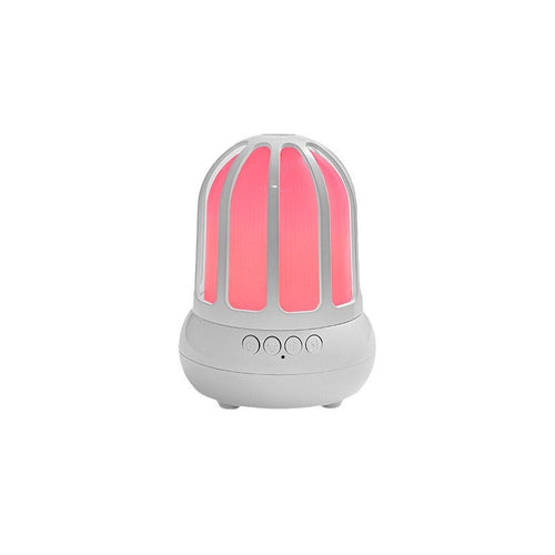 Wireless Sound Illuminated Aviary Miniature Desk Light