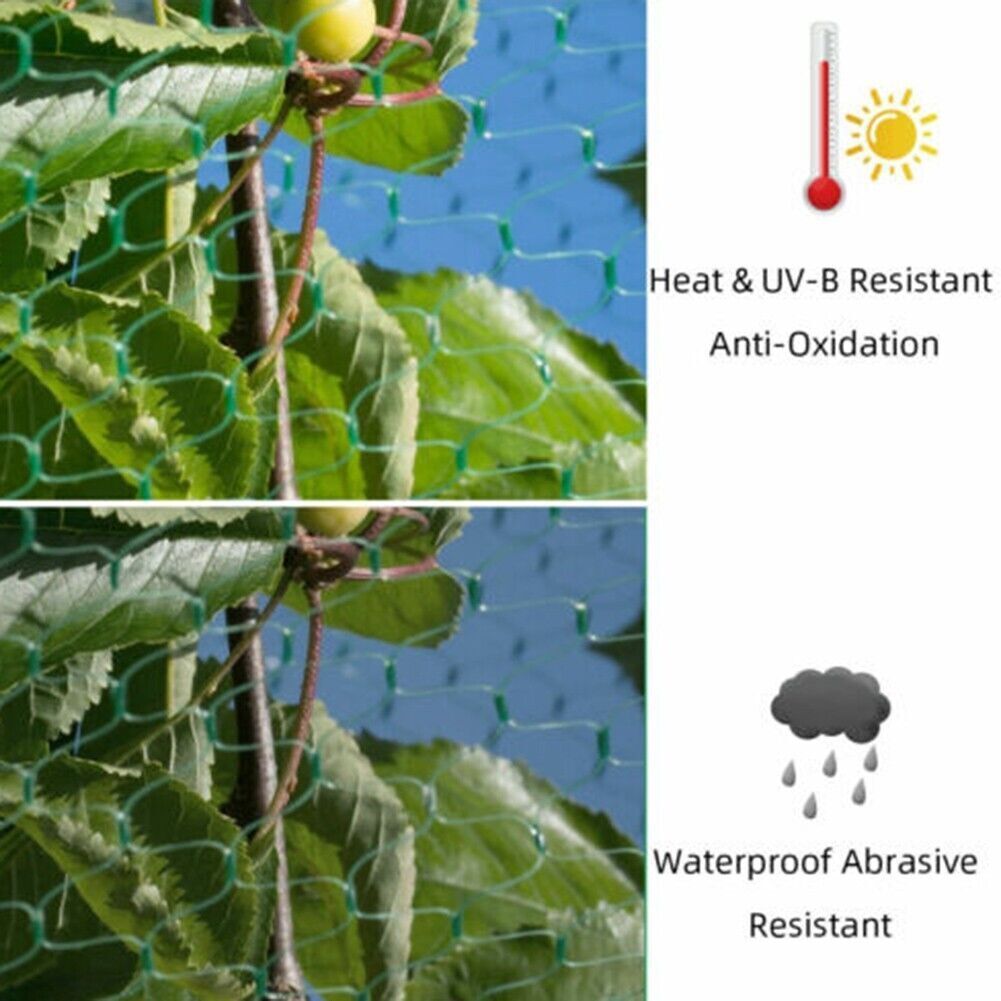 33FT Anti Bird Netting Pond Net Protection Tree Crops Plants Fruits