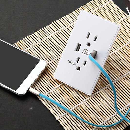 American-style outlet plate featuring USB ports