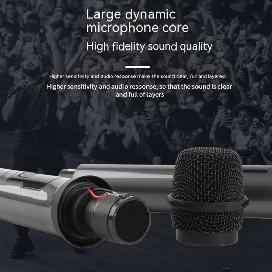Portable Dual-Coil Wireless Home Mic System