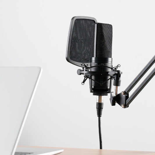 Condenser Mic Big Diaphragm K Music PC Phone Recording Mic