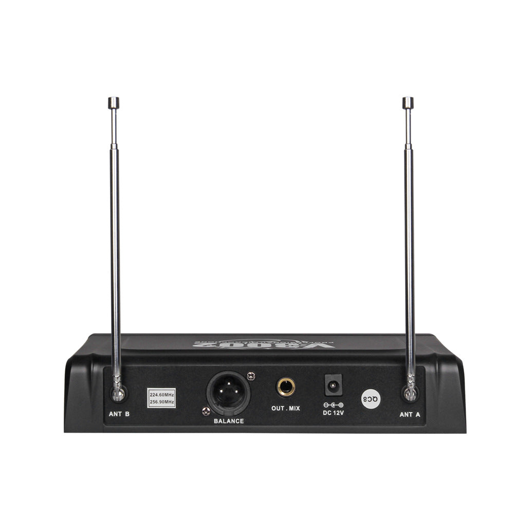 Dual Wireless Handheld Mic Setup