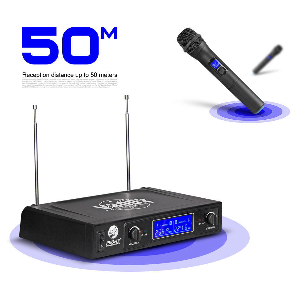 Dual Wireless Handheld Mic Setup