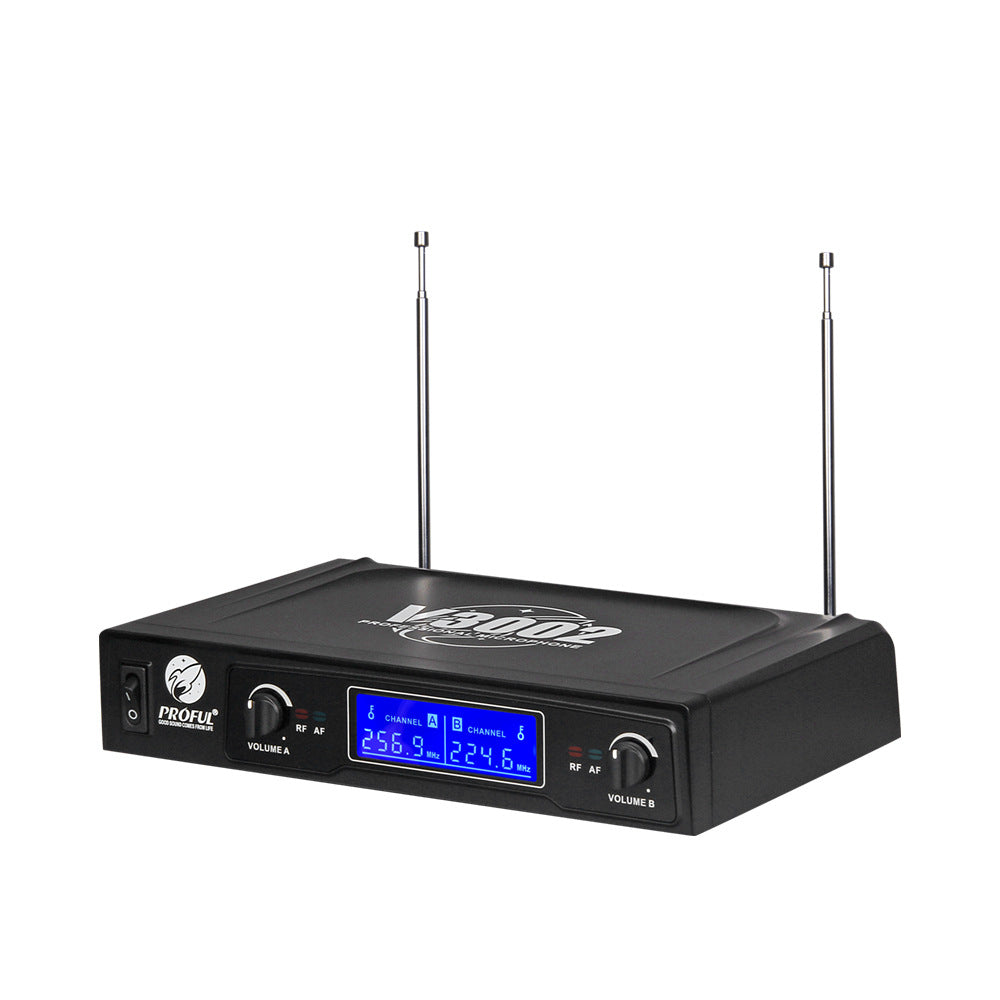Dual Wireless Handheld Mic Setup