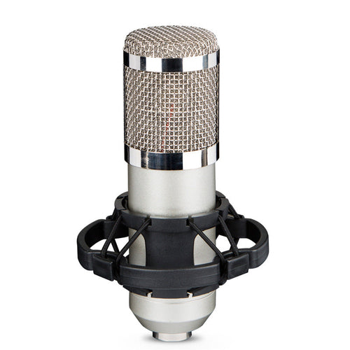 Audio pickup device