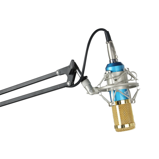 Audio pickup device