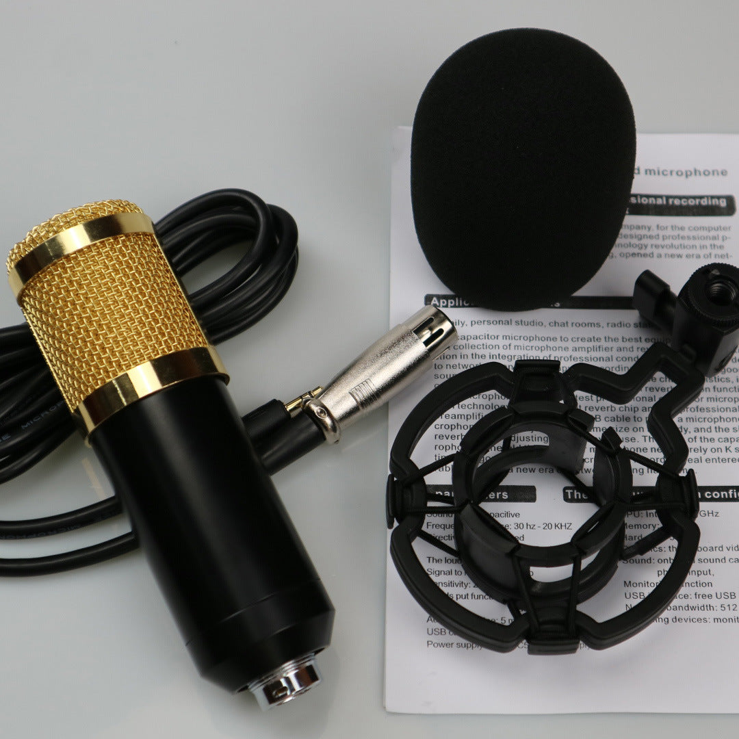 Audio pickup device