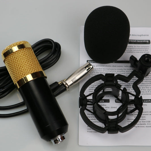 Audio pickup device