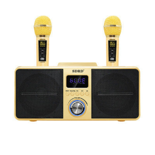 Portable Karaoke Sound System Dual Mic Wireless Speaker for Phone PC