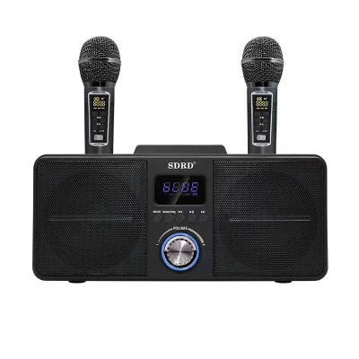 Portable Karaoke Sound System Dual Mic Wireless Speaker for Phone PC