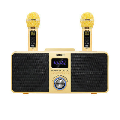 Portable Karaoke Sound System Dual Mic Wireless Speaker for Phone PC