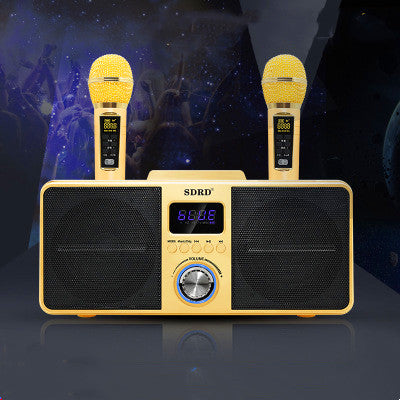 Portable Karaoke Sound System Dual Mic Wireless Speaker for Phone PC