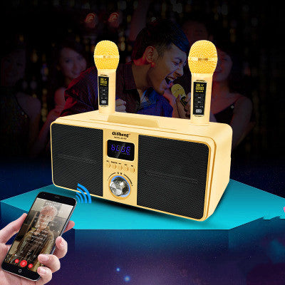 Portable Karaoke Sound System Dual Mic Wireless Speaker for Phone PC