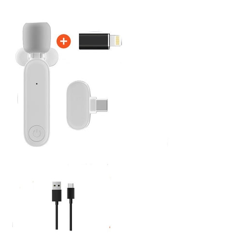Dual Cordless Lapel Mic System