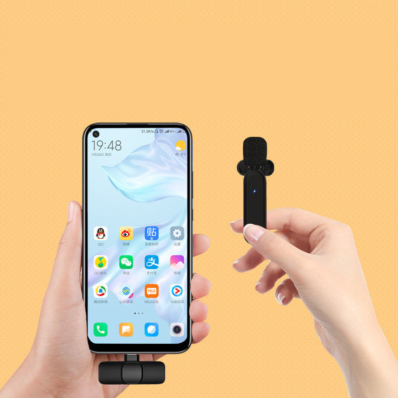 Dual Cordless Lapel Mic System